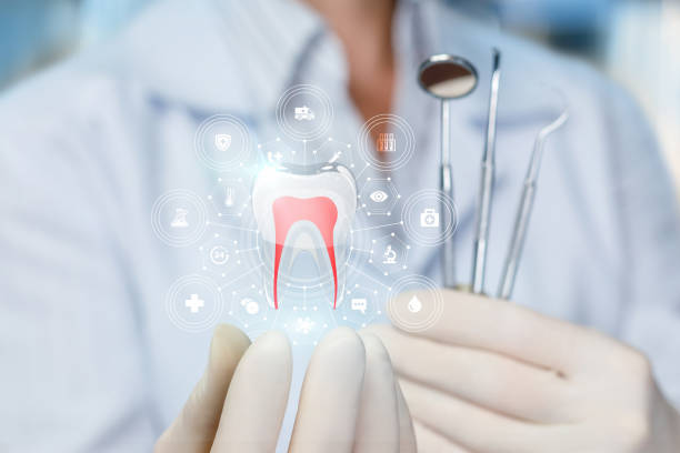 Best Dental Exams and Cleanings  in Miami Shores, FL